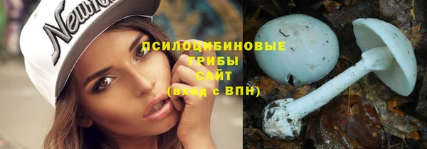амф Арсеньев