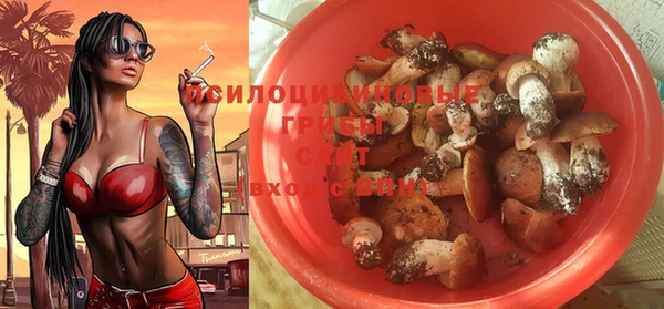 твердый Апатиты
