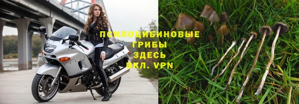 твердый Апатиты