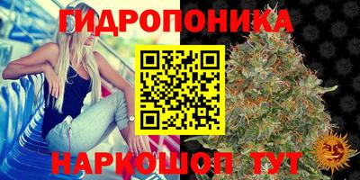 бошки Волгодонск