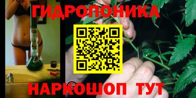 бошки Волгодонск