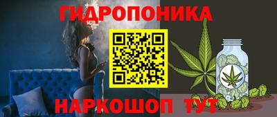бошки Волгодонск