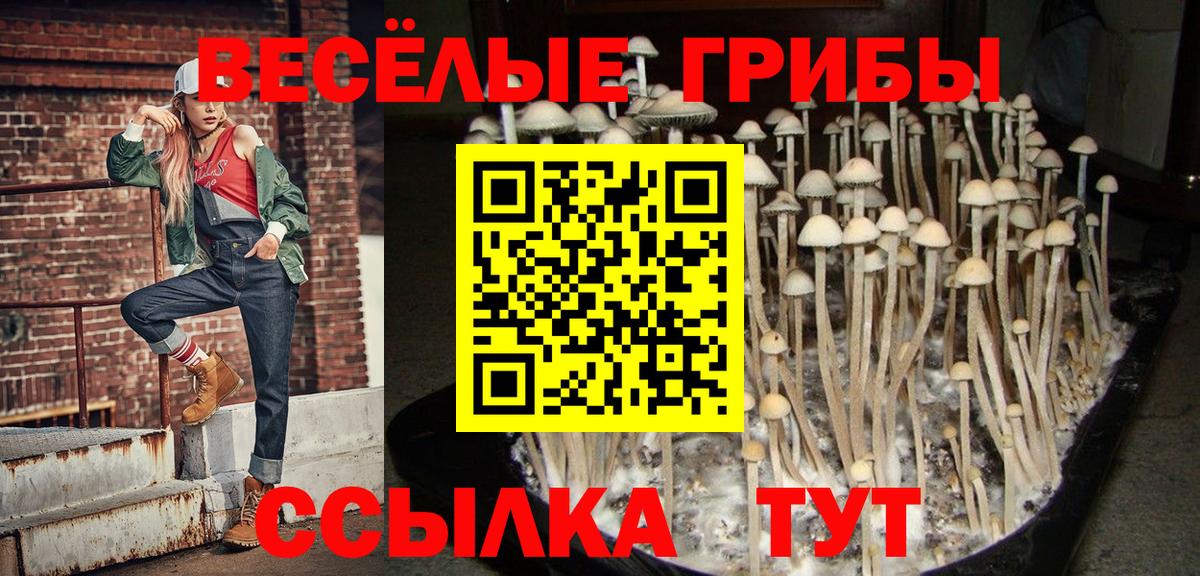 Псилоцибиновые грибы Magic Shrooms  Вход с VPN  наркошоп  Добрянка  Галлюциногенные грибы ЛСД 