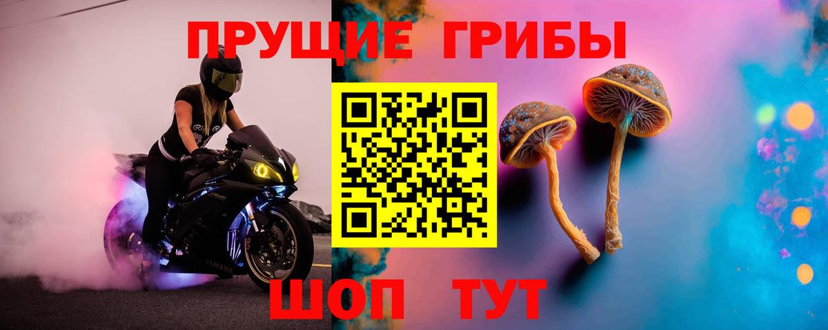 Галлюциногенные грибы ЛСД  купить   Добрянка  Галлюциногенные грибы Psilocybe 