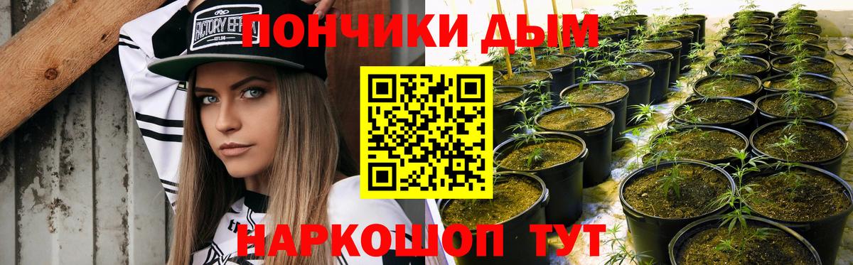 Конопля марихуана  МАРИХУАНА Amnesia  Вход с VPN  Бошки марихуана конопля  МАРИХУАНА планчик  Добрянка 